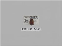 藏品(金龜子科)的圖片